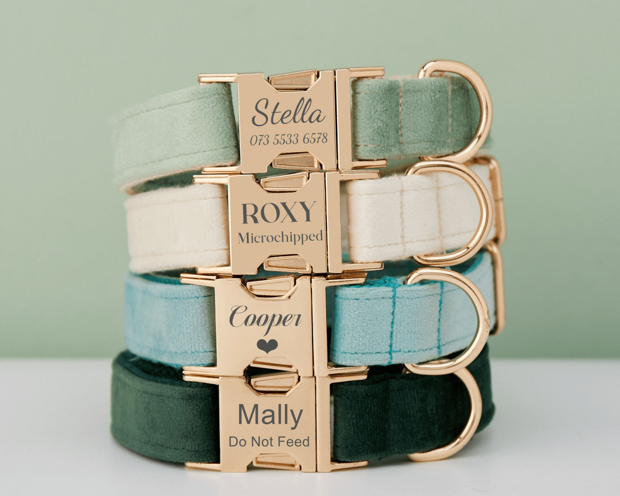Personalized Multi - Color Velvet Dog Collar & Leash Set with Bow – Engraved Name Tag & Metal Buckle - AmyEngraved