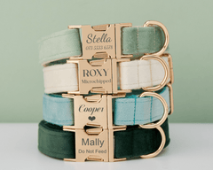 Personalized Multi - Color Velvet Dog Collar & Leash Set with Bow – Engraved Name Tag & Metal Buckle - AmyEngraved