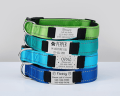 Personalized Reflective Dog Collar with Engraved Name Tag – Adjustable Custom Pet Collar with Leash - AmyEngraved