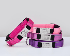 Personalized Reflective Hot Pink Dog Collar & Leash Set – Adjustable Cat Collar with Engraved Name Tag & Free Bell - AmyEngraved
