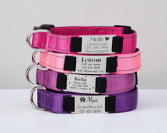 Personalized Reflective Pink Dog Collar with Engraved Name Tag – Adjustable Cat Collar with Leash & Free Bell - AmyEngraved