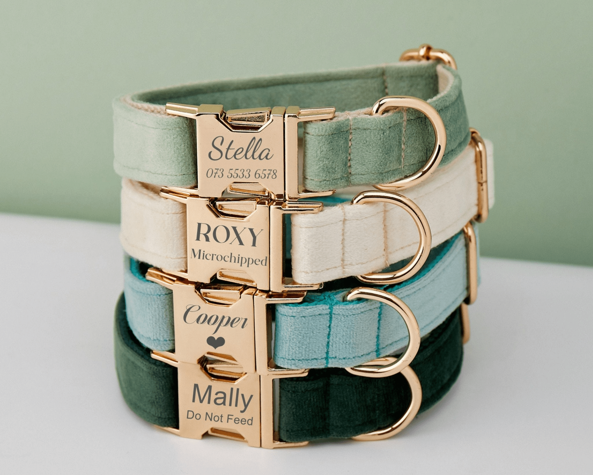 Personalized Multi - Color Velvet Dog Collar & Leash Set with Bow – Engraved Name Tag & Metal Buckle - AmyEngraved