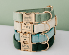 Personalized Multi - Color Velvet Dog Collar & Leash Set with Bow – Engraved Name Tag & Metal Buckle - AmyEngraved