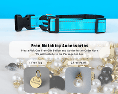 Personalized Reflective Blue Dog Collar with Engraved Name Tag – Adjustable Cat Collar with Leash & Free Bell - AmyEngraved