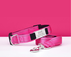 Personalized Reflective Hot Pink Dog Collar & Leash Set – Adjustable Cat Collar with Engraved Name Tag & Free Bell - AmyEngraved