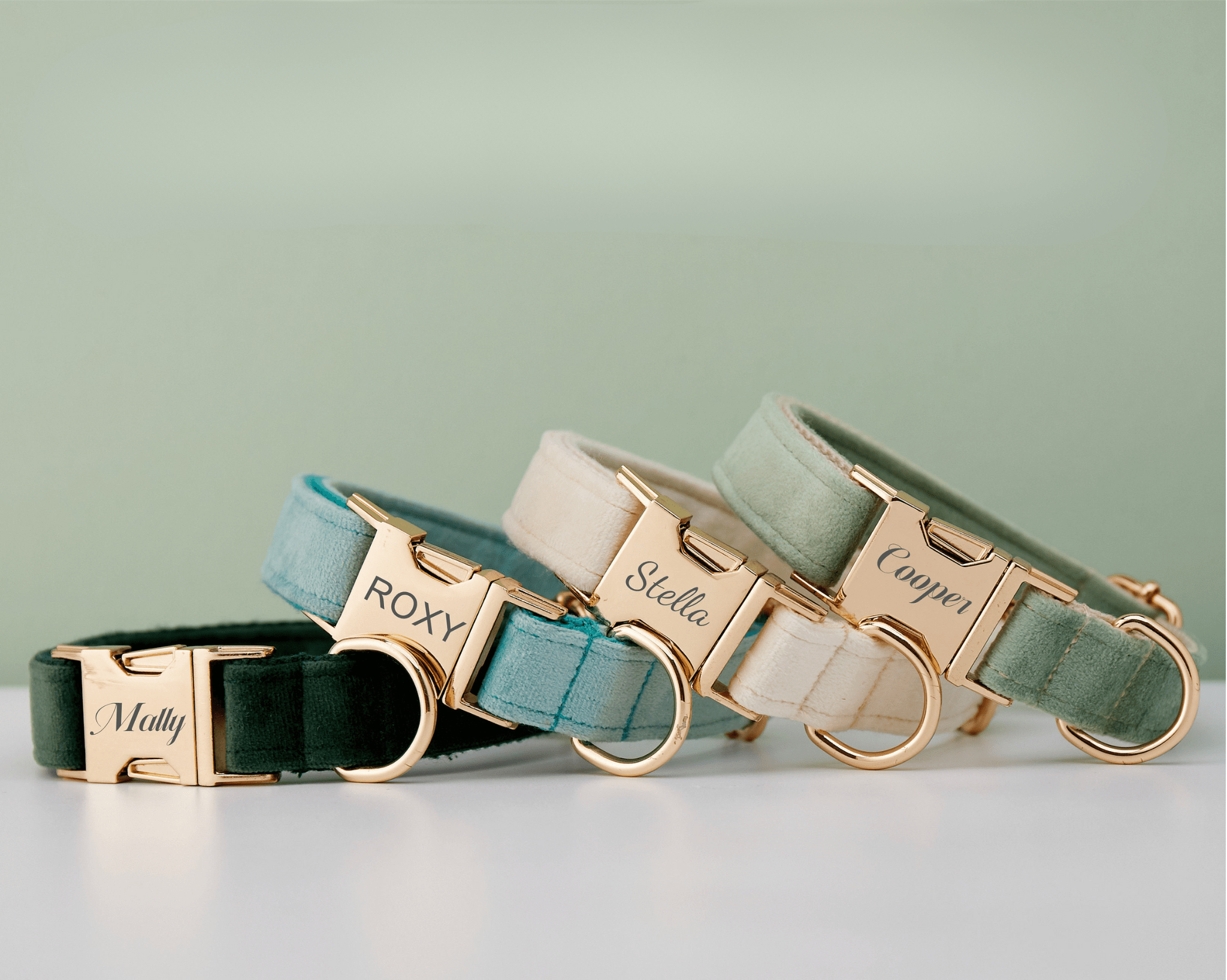 Personalized Multi - Color Velvet Dog Collar & Leash Set with Bow – Engraved Name Tag & Metal Buckle - AmyEngraved