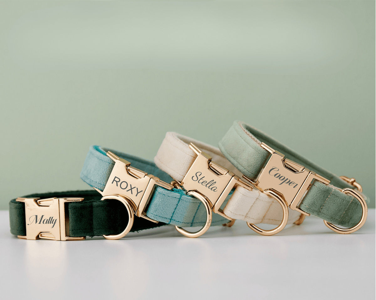 Personalized Multi - Color Velvet Dog Collar & Leash Set with Bow – Engraved Name Tag & Metal Buckle - AmyEngraved