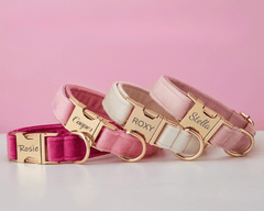 Custom Velvet Dog Collar & Leash Set with Bow – Pink, Rose, Ivory & Peach | Engraved Name Tag, Metal Buckle – Wedding Puppy Gift - AmyEngraved