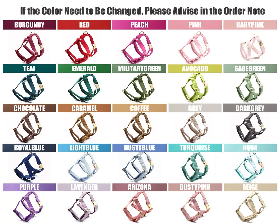 Teal Velvet Dog Harness and Leash Set | Personalized No Pull Step In Puppy Harness, Collar, Bowtie, and Poop Bag Holder | Wedding Pet Bundle - AmyEngraved