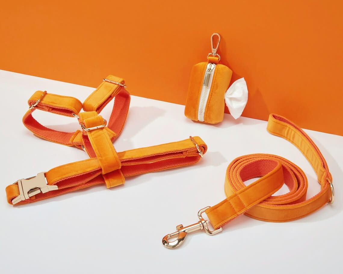 Orange Velvet Dog Harness and Leash Set | Personalized No Pull Step In Puppy Harness, Collar, Bowtie, and Poop Bag Holder | Wedding Pet Bundle - AmyEngraved