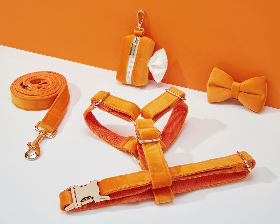 Orange Velvet Dog Harness and Leash Set | Personalized No Pull Step In Puppy Harness, Collar, Bowtie, and Poop Bag Holder | Wedding Pet Bundle - AmyEngraved