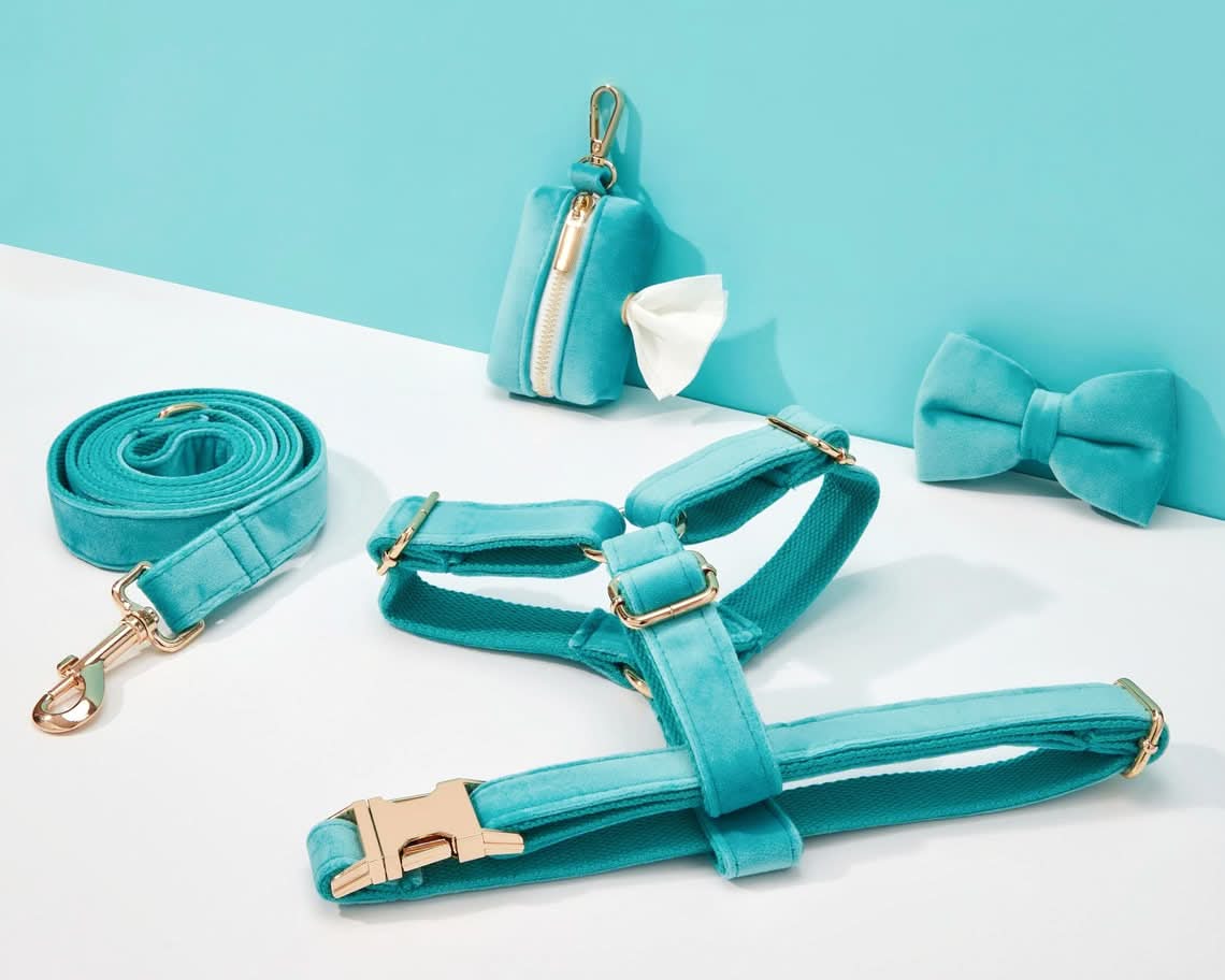 Turquoise Velvet Dog Harness and Leash Set | Personalized No Pull Step In Puppy Harness, Collar, Bowtie, and Poop Bag Holder | Wedding Pet Bundle - AmyEngraved