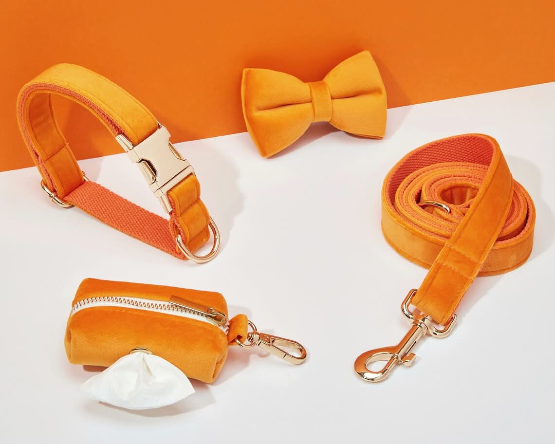 Orange Velvet Dog Harness and Leash Set | Personalized No Pull Step In Puppy Harness, Collar, Bowtie, and Poop Bag Holder | Wedding Pet Bundle - AmyEngraved