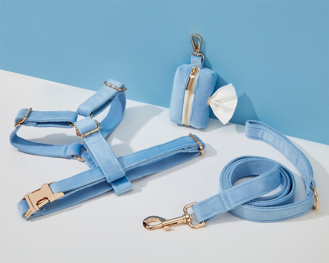 SkyBlue Velvet Dog Harness and Leash Set | Personalized No Pull Step In Puppy Harness, Collar, Bowtie, and Poop Bag Holder | Wedding Pet Bundle - AmyEngraved