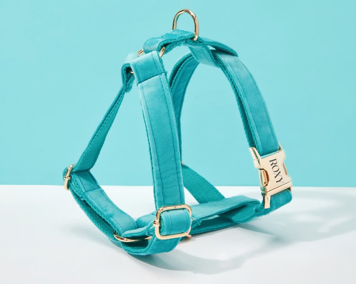 Turquoise Velvet Dog Harness and Leash Set | Personalized No Pull Step In Puppy Harness, Collar, Bowtie, and Poop Bag Holder | Wedding Pet Bundle - AmyEngraved