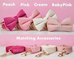 Custom Velvet Dog Collar & Leash Set with Bow – Pink, Rose, Ivory & Peach | Engraved Name Tag, Metal Buckle – Wedding Puppy Gift - AmyEngraved