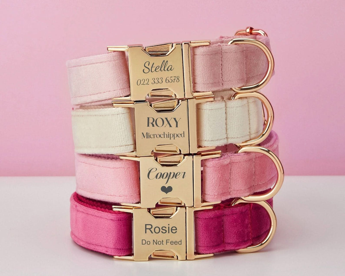 Custom Velvet Dog Collar & Leash Set with Bow – Pink, Rose, Ivory & Peach | Engraved Name Tag, Metal Buckle – Wedding Puppy Gift - AmyEngraved