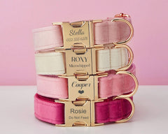 Custom Velvet Dog Collar & Leash Set with Bow – Pink, Rose, Ivory & Peach | Engraved Name Tag, Metal Buckle – Wedding Puppy Gift - AmyEngraved