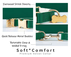 Green Waterproof PU Leather Dog Collar & Leash Set | Solid Design | Engraved Metal Buckle Plate + Free Pet Name Tag | Wedding Puppy Gift - AmyEngraved