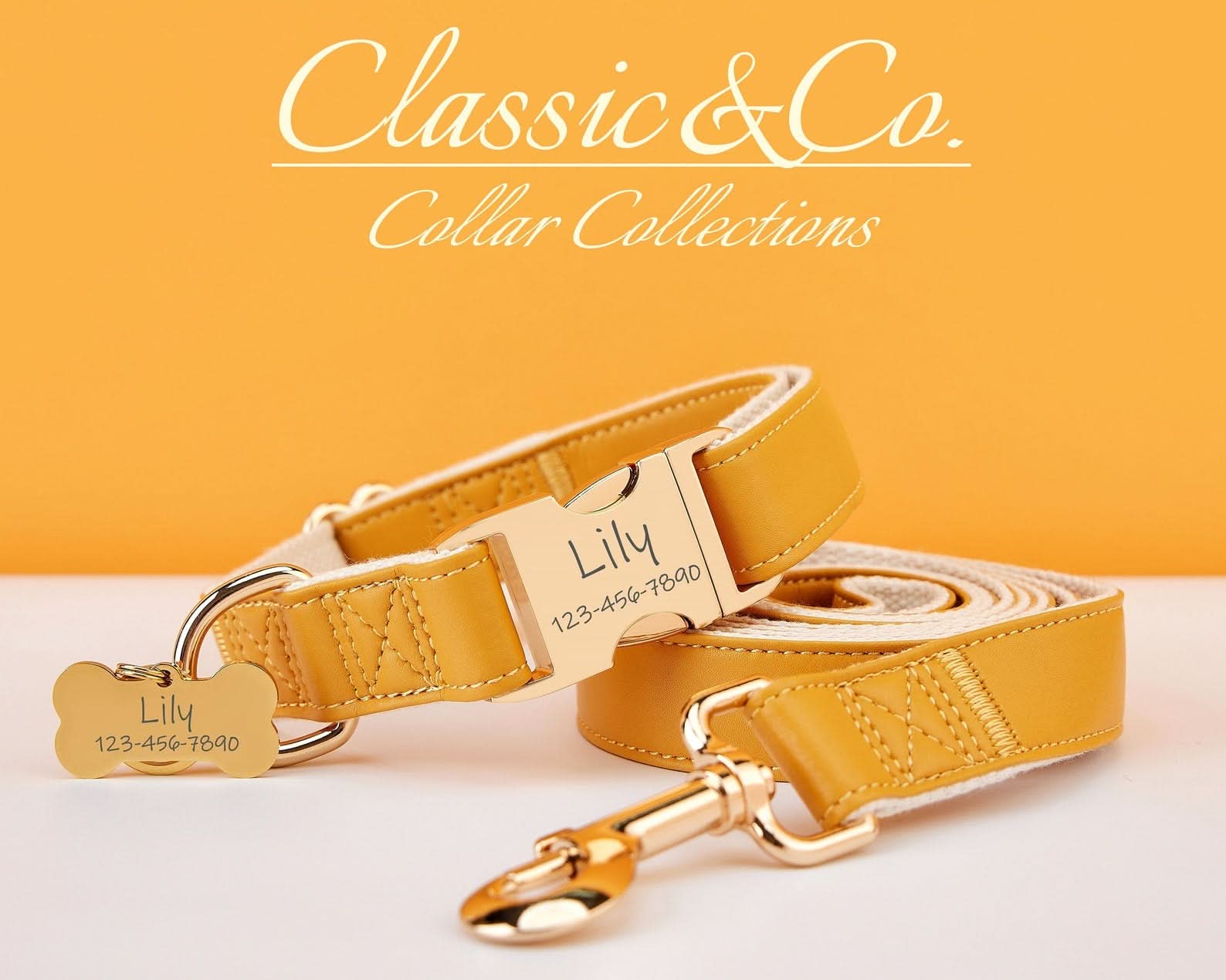 Caramel Waterproof PU Leather Dog Collar & Leash Set | Solid Design | Engraved Metal Buckle Plate + Free Name Tag | Wedding Puppy Gift - AmyEngraved