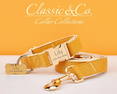 Caramel Waterproof PU Leather Dog Collar & Leash Set | Solid Design | Engraved Metal Buckle Plate + Free Name Tag | Wedding Puppy Gift - AmyEngraved
