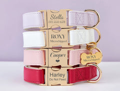 Personalized Waterproof Dog Collar and Leash | Custom Engraved Metal Buckle & Free Name Tag | Perfect Wedding Puppy Gift - AmyEngraved