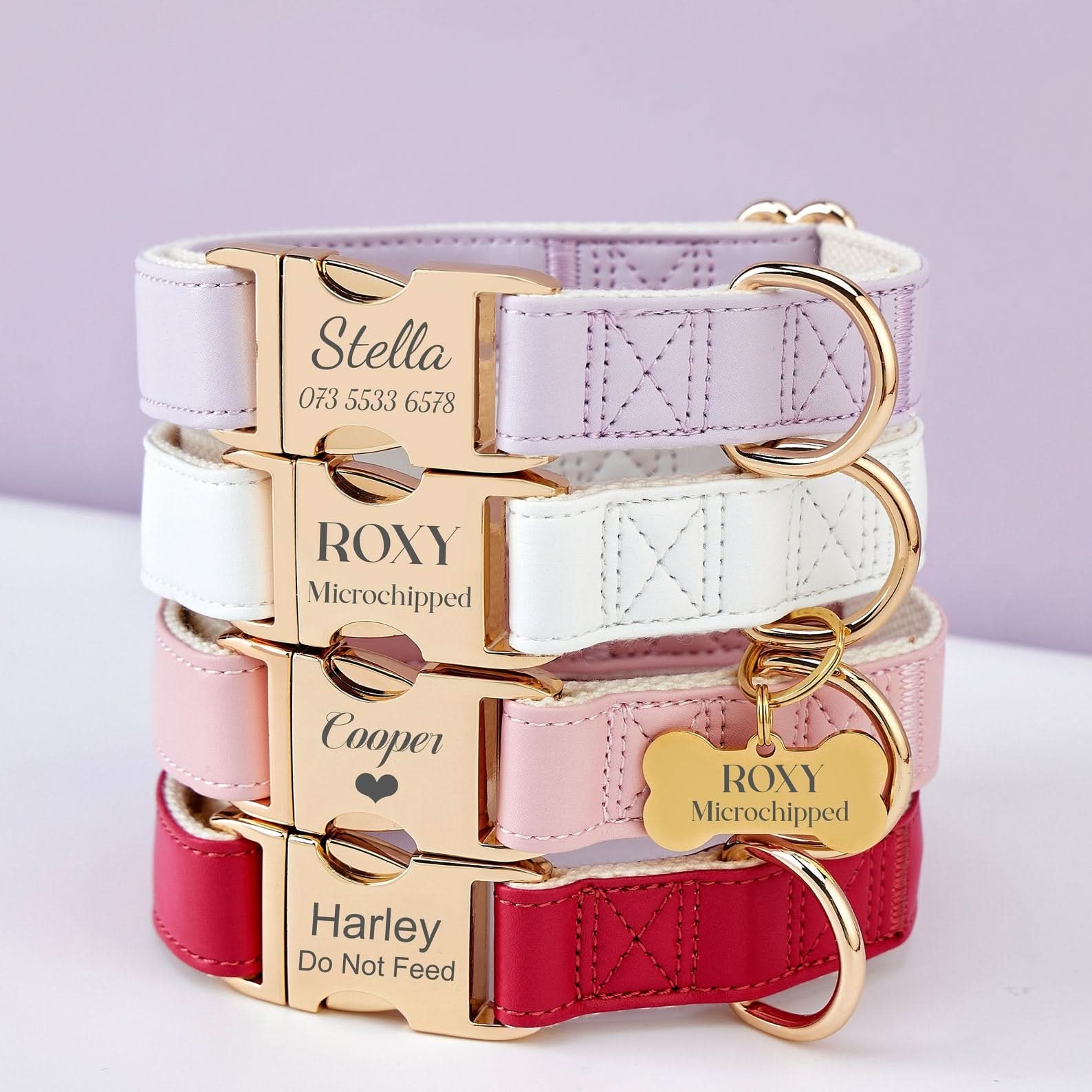 Personalized Waterproof Dog Collar and Leash | Custom Engraved Metal Buckle & Free Name Tag | Perfect Wedding Puppy Gift - AmyEngraved