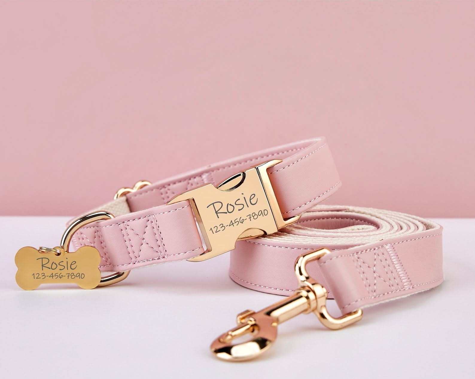 Personalized Waterproof Dog Collar and Leash | Custom Engraved Metal Buckle & Free Name Tag | Perfect Wedding Puppy Gift - AmyEngraved