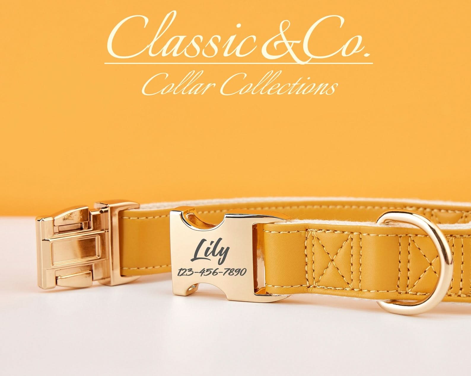 Caramel Waterproof PU Leather Dog Collar & Leash Set | Solid Design | Engraved Metal Buckle Plate + Free Name Tag | Wedding Puppy Gift - AmyEngraved