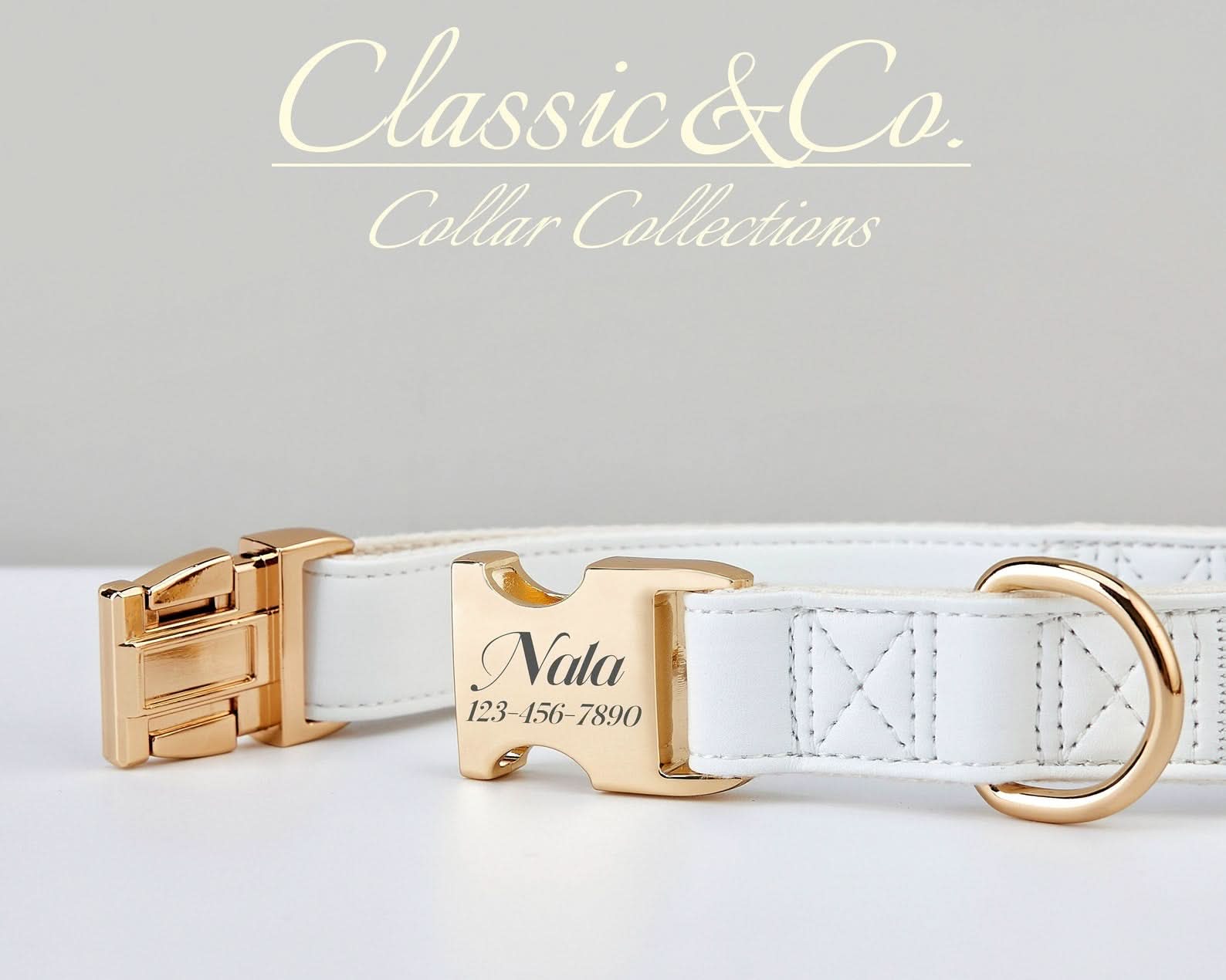 White Waterproof PU Leather Dog Collar & Leash Set | Solid Design | Engraved Metal Buckle Plate + Free Pet Name Tag | Wedding Puppy Gift - AmyEngraved