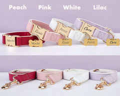 Personalized Waterproof Dog Collar and Leash | Custom Engraved Metal Buckle & Free Name Tag | Perfect Wedding Puppy Gift - AmyEngraved