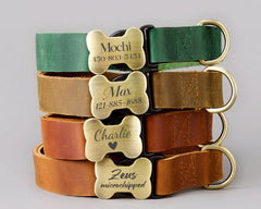Genuine Cowhide Leather Dog Collar & Leash Set | Solid Green | Engraved Metal Buckle + Free Name Tag | Wedding Puppy Gift - AmyEngraved
