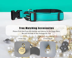 Personalized Reflective Dog Collar with Engraved Name Tag – Adjustable Custom Pet Collar with Leash - AmyEngraved