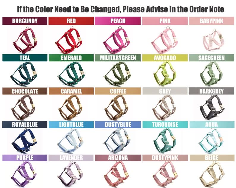 Cream Velvet Dog Harness and Leash Set | Personalized No Pull Step In Puppy Harness, Collar, Bowtie, and Poop Bag Holder | Wedding Pet Bundle - AmyEngraved
