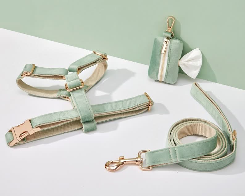 Sage Green Velvet Dog Harness and Leash Set | Personalized No Pull Step In Puppy Harness, Collar, Bowtie, and Poop Bag Holder | Wedding Pet Bundle - AmyEngraved