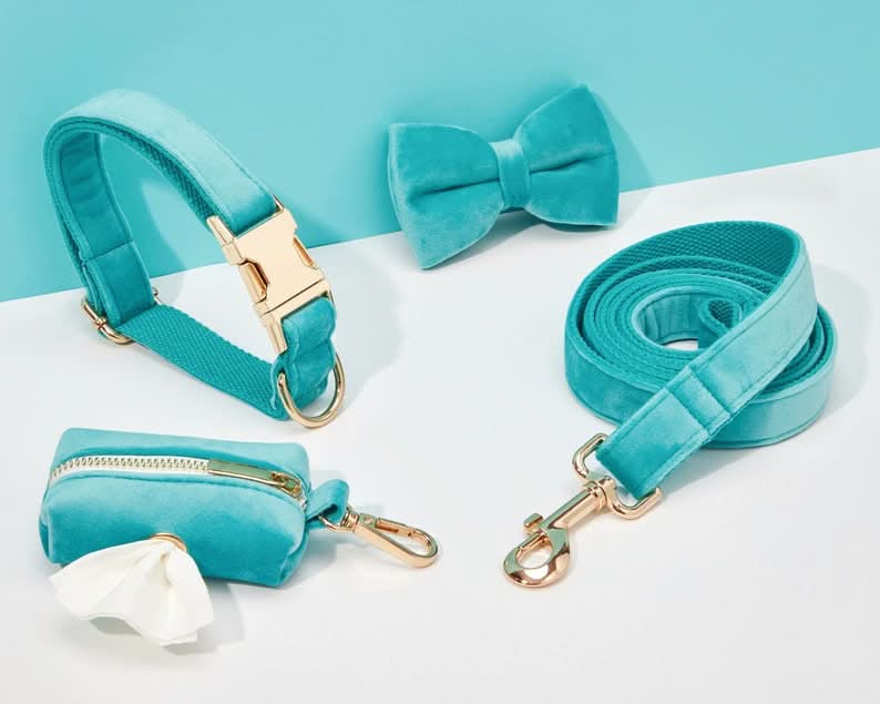 Turquoise Velvet Dog Harness and Leash Set | Personalized No Pull Step In Puppy Harness, Collar, Bowtie, and Poop Bag Holder | Wedding Pet Bundle - AmyEngraved