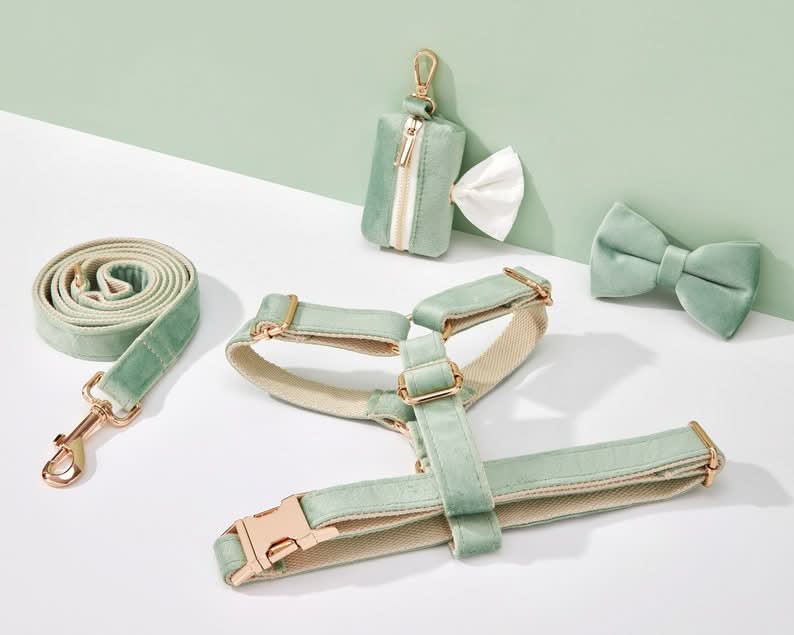 Sage Green Velvet Dog Harness and Leash Set | Personalized No Pull Step In Puppy Harness, Collar, Bowtie, and Poop Bag Holder | Wedding Pet Bundle - AmyEngraved