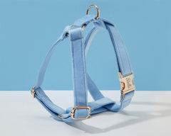 SkyBlue Velvet Dog Harness and Leash Set | Personalized No Pull Step In Puppy Harness, Collar, Bowtie, and Poop Bag Holder | Wedding Pet Bundle - AmyEngraved
