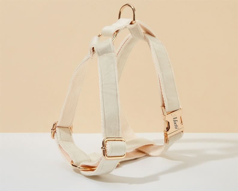 Cream Velvet Dog Harness and Leash Set | Personalized No Pull Step In Puppy Harness, Collar, Bowtie, and Poop Bag Holder | Wedding Pet Bundle - AmyEngraved