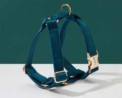 Teal Velvet Dog Harness and Leash Set | Personalized No Pull Step In Puppy Harness, Collar, Bowtie, and Poop Bag Holder | Wedding Pet Bundle - AmyEngraved