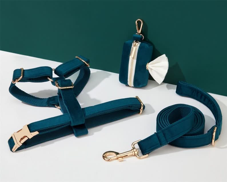 Teal Velvet Dog Harness and Leash Set | Personalized No Pull Step In Puppy Harness, Collar, Bowtie, and Poop Bag Holder | Wedding Pet Bundle - AmyEngraved