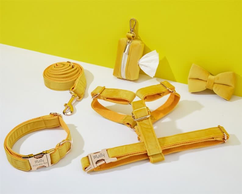 Yellow Velvet Dog Harness and Leash Set | Personalized No Pull Step In Puppy Harness, Collar, Bowtie, and Poop Bag Holder | Wedding Pet Bundle - AmyEngraved