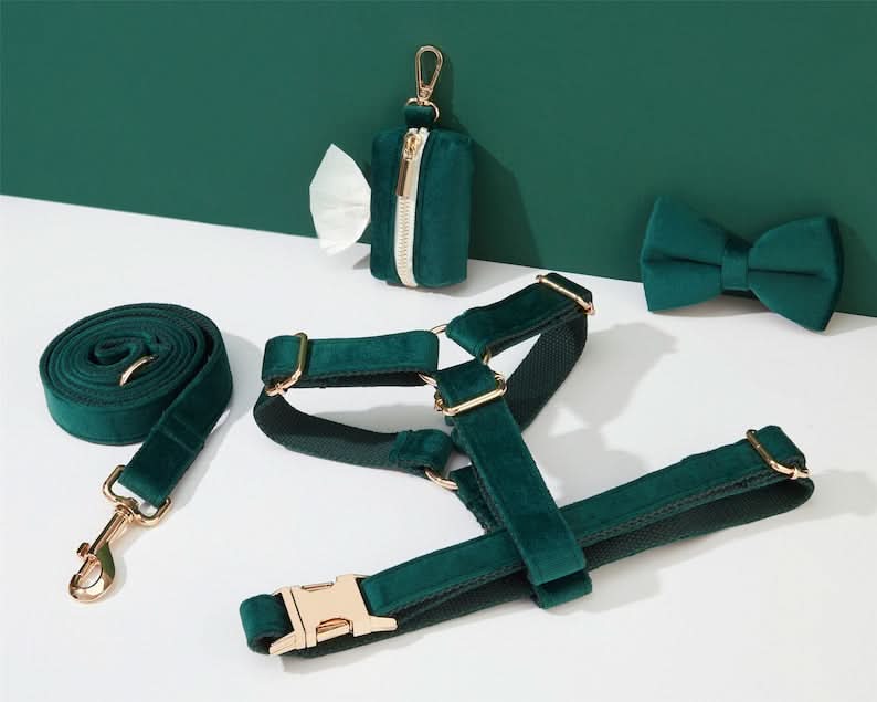 Emerald Velvet Dog Harness and Leash Set | Personalized No Pull Step In Puppy Harness, Collar, Bowtie, and Poop Bag Holder | Wedding Pet Bundle - AmyEngraved