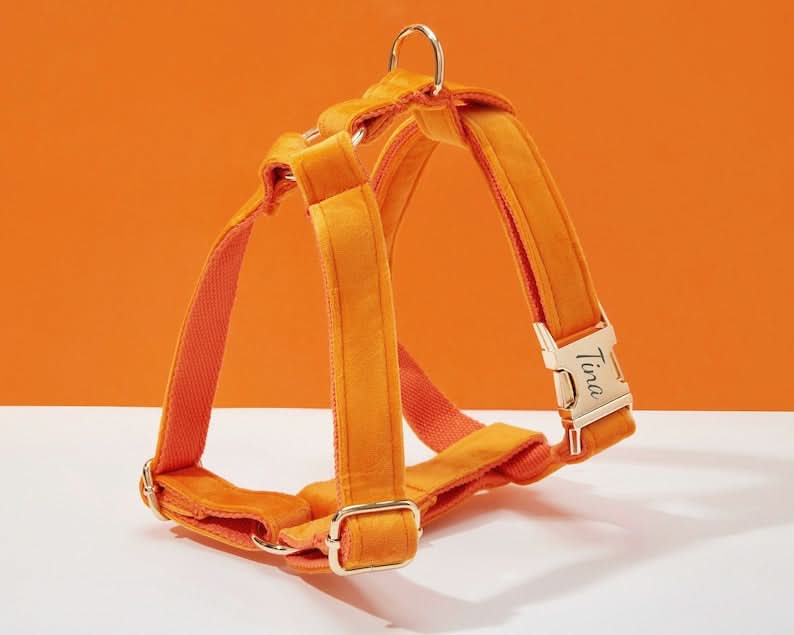 Orange Velvet Dog Harness and Leash Set | Personalized No Pull Step In Puppy Harness, Collar, Bowtie, and Poop Bag Holder | Wedding Pet Bundle - AmyEngraved