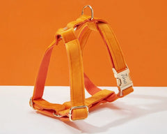 Orange Velvet Dog Harness and Leash Set | Personalized No Pull Step In Puppy Harness, Collar, Bowtie, and Poop Bag Holder | Wedding Pet Bundle - AmyEngraved