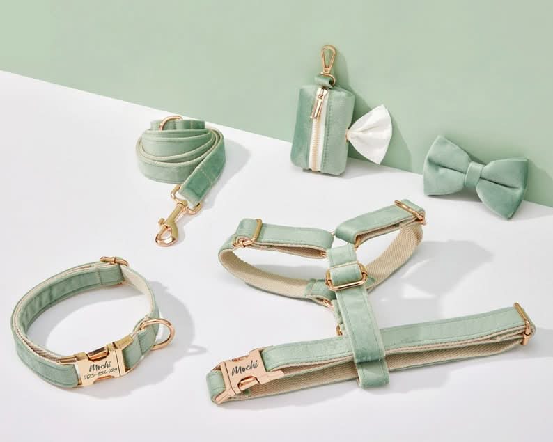 Sage Green Velvet Dog Harness and Leash Set | Personalized No Pull Step In Puppy Harness, Collar, Bowtie, and Poop Bag Holder | Wedding Pet Bundle - AmyEngraved