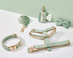 Sage Green Velvet Dog Harness and Leash Set | Personalized No Pull Step In Puppy Harness, Collar, Bowtie, and Poop Bag Holder | Wedding Pet Bundle - AmyEngraved