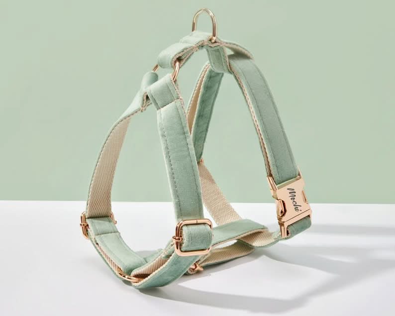 Sage Green Velvet Dog Harness and Leash Set | Personalized No Pull Step In Puppy Harness, Collar, Bowtie, and Poop Bag Holder | Wedding Pet Bundle - AmyEngraved
