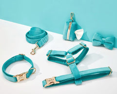 Turquoise Velvet Dog Harness and Leash Set | Personalized No Pull Step In Puppy Harness, Collar, Bowtie, and Poop Bag Holder | Wedding Pet Bundle - AmyEngraved