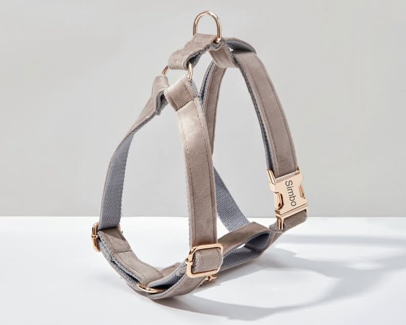 Grey Velvet Dog Harness and Leash Set | Personalized No Pull Step In Puppy Harness, Collar, Bowtie, and Poop Bag Holder | Wedding Pet Bundle - AmyEngraved
